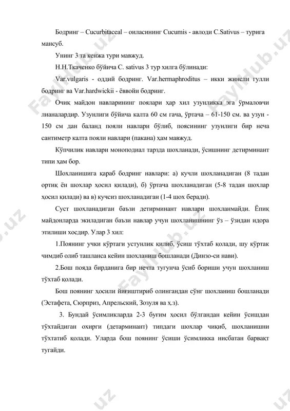яшилгача, текислиги – текисдан қовурғали ва ти​канак думбоқчали бўлиши мумкин. бодринг бир уйли икки жинсли ўсимлик эркак гуллари шода тар​зида тугунчага бирлашган. уларда 5 та чангчи бўлиб, уларнинг 4 таси бирлашиб ўсган, урғочи гуллари якка, баъзан 2-3 тадан бўлган, уруғчали, 3 уяли, тугунчада 4-5 та уруғ ҳосил бўлган. гуллари ўсимликда униб чиққандан 35-55 кунда очила бошлайди. урғочи гуллар эркак гулларга нисбатан 6-7 кун кейин очилади. ўсимликларнинг пастки қисмида - фақат эркак гуллари, ўрта қисмида ҳам эркак ва ҳам урғочи гуллари, учки қисмида эса асосан урғочи гуллари жойлашади. катта – кичиклиги ва фертиллиги бўйича (ўсимликда эркак гул) 4 хил бўлиб : 1. юксак (97-98%) даражадан фертилликка эга энг йирик гул​лар. (улар новданинг биринчи қисмида бўлиб энди гулга кириётган ва ял​писига гуллаган пайтда ҳосил бўлади.) 2. фертиллиги юқори (йирик, ўсимлик қийғос гуллаганда новда​нинг иккинчи қисмида очилади.) 3. майда стерил гуллар новданинг иккинчи қисмида ўсимликлар қийғос гуллаганда очилади. 4. ўсимликнинг учки қисмидаги майда …