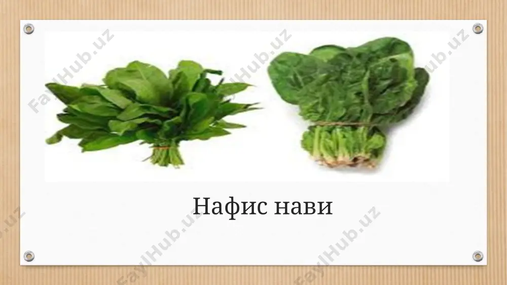 га ўсимликка яқинроқ қилиб берилади. петрушканинг нилуфар, сахарная ва новас навлари районлашган бўлиб, у совуққа чидамли икки йиллик ўтчил ўсимлик ҳисобланади. унинг уруғини ўсиши учун 5-6°с, кўкариб ҳосил яратиши учун 15-16°с ҳарорат керак. петрушка ўсув бошида секин ўсади, кейин тез ривожланади.петрушка ер танламайди. тўқсонбости усулда экилган кашничнинг ўсув даври 55-60 кун бўлиб, ҳосил пишиш даври агарда плёнка билан қопланган бўлса – март ойида ёки очиқ майдонда етиштирилган бўлса – апрел ойига тўғри келади. петрушка нилуфар нави покер дурагай суғориш. ушбу экинни ўстиришда тупроқнинг тўйинган дала нам сиғимига нисбатан суғоришдан олдинги тупроқ намлиги 70-75% бўлиши керак. сизот суви чуқур жойлашган ерларда руккола ўсув даврида 7-8 мартагача, сизот суви юза майдонларда 2-3 марта суғорилади. тупроқ шароитига қараб гектарига 450-500 м3 ҳисобидан суғорилади. рукколани ҳаддан ташқари катта меъёр билан суғориш тавсия этилмайди. ҳосилни йиғиштириш. майсалар пайдо бўлгандан 30-40 кундан кейин ҳосили бир йўла йиғиштириб олинади. ҳосили 45-50 кундан кейин уларни етилишига қараб кундузи, …