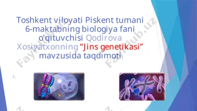 "jins genetikasi" — PPTX