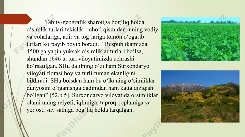 surxandaryo viloyati o’simlik va hayvonot dunyosini o’ranish - Page 4