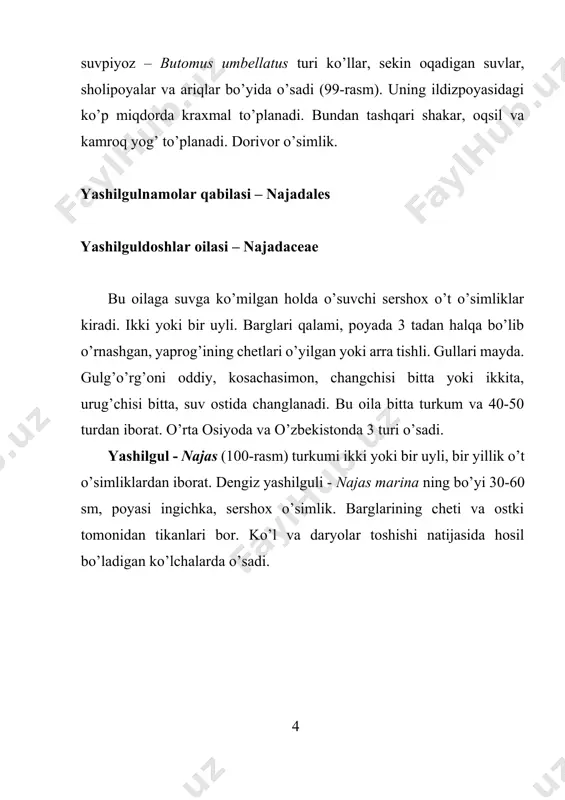 ish va tibbiyotda foydalaish mumkin. quritilgan tugunagida kraxmal, oqsil, yog’, qand ko’p miqdorda mavjud. uning ba’zi yirik bargli turlari xitoy va yaponiyada maxsus o’stiriladi. g’ijjaknamolar qabilasi – potamogetonales g’ijjakdoshlar oilasi – potamogetonaceae bu oila vakillari suv o’simliklari bo’lib, suvga ko’milib yoki suv betida suzib yuruvchi ko’p yillik o’t o’simliklardir. ba’zi turlarining barglari bug’doydoshlarnikiga o’xshash tasmasimon, boshqalarniki esa 2 xil bo’ladi. suzuvchi bargi ellipssimon, suvga botib o’sadiganlarida esa tasmasimon bo’lib, ular lolasimonlar uchun xos bo’lmagan qinsimon yonbarglar bilan o’ralgan. gullari mayda, bir yoki ikki jinsli, bir uyli. gulqo’rg’on bargchalari changchisi va urug’chisi 4 tadan yoki rcduksiyalanishi natijasida bitta bo’lib qoladi. gul formulasi: p4 a4 g4. mevasi yong’oqcha yoki danakli to’pmeva. oila 2 ta turkum va 100 turdan iborat. o’rta osiyoda bitta turkum, 16 turi, o’zbekistonda bitta turkum va 10 turi tarqalgan (102-rasm). g’ijjak - potamogeton turkumiga vakillari ikki jinsli, ko’p yillik o’simliklar kiradi. gulqo’rg’on barglari, changchi va u urug’chilari 4 tadan. …