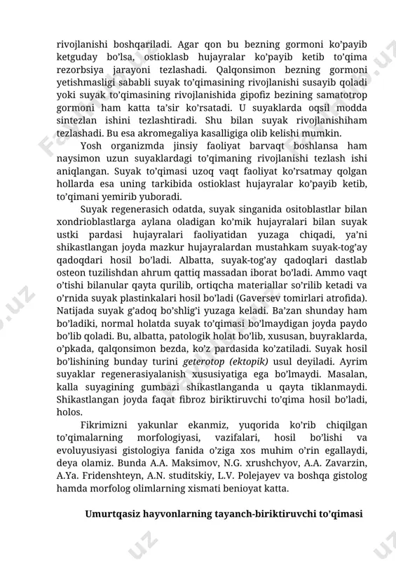 ada kollagen yaxshi shakllanmaydi, ostioblast hujayralarning vazifasi ham shu bilan buziladi. suyak to’qimasining rivojlanishi engdokrin bezlar maxsuloti, ya’ni gormonlar ham katta ta’sir ko’rsatadi. masalan, organizmda qalqonsimon bez yoni bezining gormoni ta’sirida suyak to’qimasining rivojlanishi boshqariladi. agar qon bu bezning gormoni ko’payib ketguday bo’lsa, ostioklasb hujayralar ko’payib ketib to’qima rezorbsiya jarayoni tezlashadi. qalqonsimon bezning gormoni yetishmasligi sababli suyak to’qimasining rivojlanishi susayib qoladi yoki suyak to’qimasining rivojlanishida gipofiz bezining samatotrop gormoni ham katta ta’sir ko’rsatadi. u suyaklarda oqsil modda sintezlan ishini tezlashtiradi. shu bilan suyak rivojlanishiham tezlashadi. bu esa akromegaliya kasalligiga olib kelishi mumkin. yosh organizmda jinsiy faoliyat barvaqt boshlansa ham naysimon uzun suyaklardagi to’qimaning rivojlanishi tezlash ishi aniqlangan. suyak to’qimasi uzoq vaqt faoliyat ko’rsatmay qolgan hollarda esa uning tarkibida ostioklast hujayralar ko’payib ketib, to’qimani yemirib yuboradi. suyak regenerasich odatda, suyak singanida ositoblastlar bilan xondrioblastlarga aylana oladigan ko’mik hujayralari bilan suyak ustki pardasi hujayralari faoliyatidan yuzaga chiqadi, ya’ni shikastlangan joyda mazkur hujayralardan …