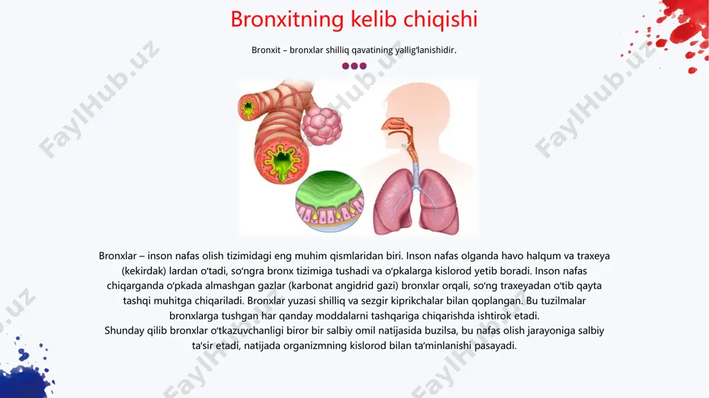 chekmaydiganlarga nisbatan 2-5 marta ko ʻ proq uchraydi hamda o ʻ tkir bronxitda 8-10%, surunkalida 15-20% hollarda kasallikni keltirib chiqaruvchi sabab bo ʻ lib xizmat qiladi. kashandalikning profilaktikasi mazkur xastaliklar bilan og ʻ rish ko ʻ rsatkichlarini 5-17% ga kamaytirib, davo choralarining samaradorligini 30-35% ga oshiradi. ma ʼ lumotlarga ko ʻ ra surunkali bronxitga chalingan 80% bemorlarda uning sababi tamaki chekish hisoblanadi. o ʻ tkir bronxitda kashandalikning etiologik xavf ko ʻ rsatkichi 8-10 %, surunkalida esa 15-20 % ni tashkil etadi. 2016-yilda kasallik bilan zararlanish holatlari pik darajaga chiqqani qayd qilingan, bunda 8,9 milliondan ortiq amerikalik surunkali bronxit bilan kasallanish holatlarining qariyb 75 foizi 45 yoshdan oshgan xronik chekuvchil odamlarni qamrab olgan. erkaklarning kasallanish ko ʻ rsatkichlari ayollarnikiga qaraganda qariyb ikki baravar ko ʻ p uchraydi va bu jinslar orasida tamaki iste’moli erkaklarda yuqori bo’lishi bilan bog’liq. 2020-yil statistikasiga ko ʻ ra, surunkali bronxit va uning asorati bo ʻ lgan …