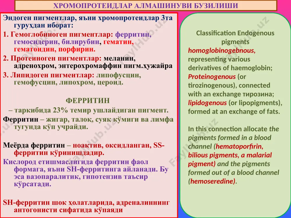 od (an anaemia, heblastoses); transfusion different group blood; rhesus factor-conflict between blood of mother and a fruit; intoxications hemolitic poisons (a poisoning with mushrooms, snake poison, etc.); some infectious diseases (a sepsis, unaerobic infections, a malaria). маҳаллий гемосидерозга мисол ўпка гемосидерози. сабаблари: ревматик митрал порок, кардиосклерозда ўпкада қоннинг димланиши. ўпкада сурункали веноз димланиш, томир девори ўтказувчанлигининг ошиши. ўпкага диапедез қон қуйилишлар. альвеолалар оралиғида, томирлар атрофида кўп миқдорда сидеробластларнинг тўпланиши. сидеробластларнинг альвеолалар бўшлиғига тушиши ва балғам билан ажралиши – “юрак пороги ҳужайраси” дейилади. аралаш дистрофиялар at long venous stagnation in the lungs, arising owing to chronic warm insufficiency, are observed plural diapeptidase hemorrhages. formed thus hemosiderin it is absorbed mononuclear by cages of alveoluses. билирубин – ўт-сафро пигменти 1. рэсда эритроцитнинг парчаланиши, гемнинг ажралиши. 2. гем протопорфирин халқасининг темирни йўқотиши. 3. биливердин пайдо бўлиши. 4. биливердиннинг оқсил билан қўшилиб боғланган билирубинга айланиши. 5. гепатоцитларнинг глюкурон кислотаси ёрдамида қондан билирубинни олиб ўт …