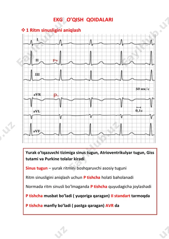 ekg standart tarmoqlari va ko'krak tarmoqlari - Page 5