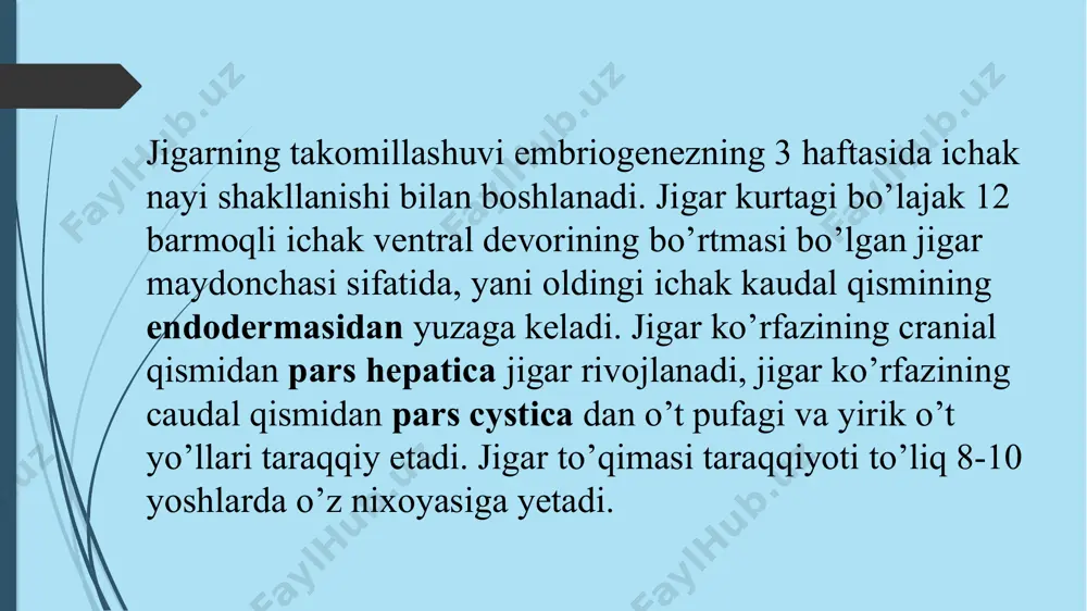 hgan: a.interlobularis v.interlobularis ductus biliaris interlobularis portal bo’lakcha-uchburchak shakldagi birlik, 3 jigar bo’lakchalaridagi v.centralis orasida tortilgan bo’ladi. jigar atsinusi-rombsimon shaklda. 2 bo’lakchadagi markaziy venalar va 2 jigar triadasi orasida joylashgan. gepatotsitlar i zonasi glyukoneogenez , yog’ kislotalarining b-oksidlanishi va xolesterin sintezi kabi oksidlovchi jigar funktsiyalari uchun ixtisoslashgan. zona iii hujayralari glikoliz , lipogenez va sitoxrom p-450 asosidagi dori detoksifikatsiyasi uchun muhimroqdir . ii zonada juda tashqi tasirlarga chidamli gepatotsitlar joylashgan bo’lib asosiy regeneratsiya funksiyasini bajaradi. rete mirabile hepatis - jigarning ajoyib to’ri. jigar arteriyasi, jigar venasi va o’t yo’li hosil qiladi. qon bilan taminlanishi. pars abdominalis aorta -turuncus coleacus -a.hepaticus communis- a.hepaticus propria. 30% arterial qon jigardan o’tadi. v.portae orqali 70% vena qoni jigarga keladi. vena hepatica-vena cava inferior-atrium dextra o‘t pufagining sig‘imi 40 – 50 sm3, uzunligi 8 - 12 sm, kengligi 4 - 5 sm ga teng. golotopiya – regio hypochondrica dextra skletotopiya – viii-ix qovurg’a tog’ayi qo’shilish …