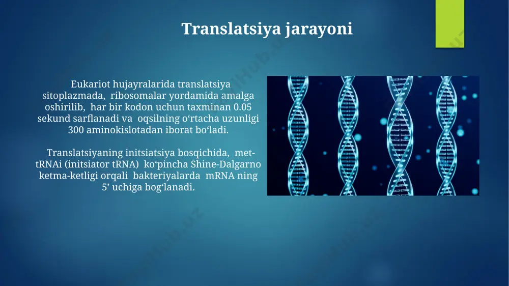 rnk va dnk xususiyatlari - Page 4