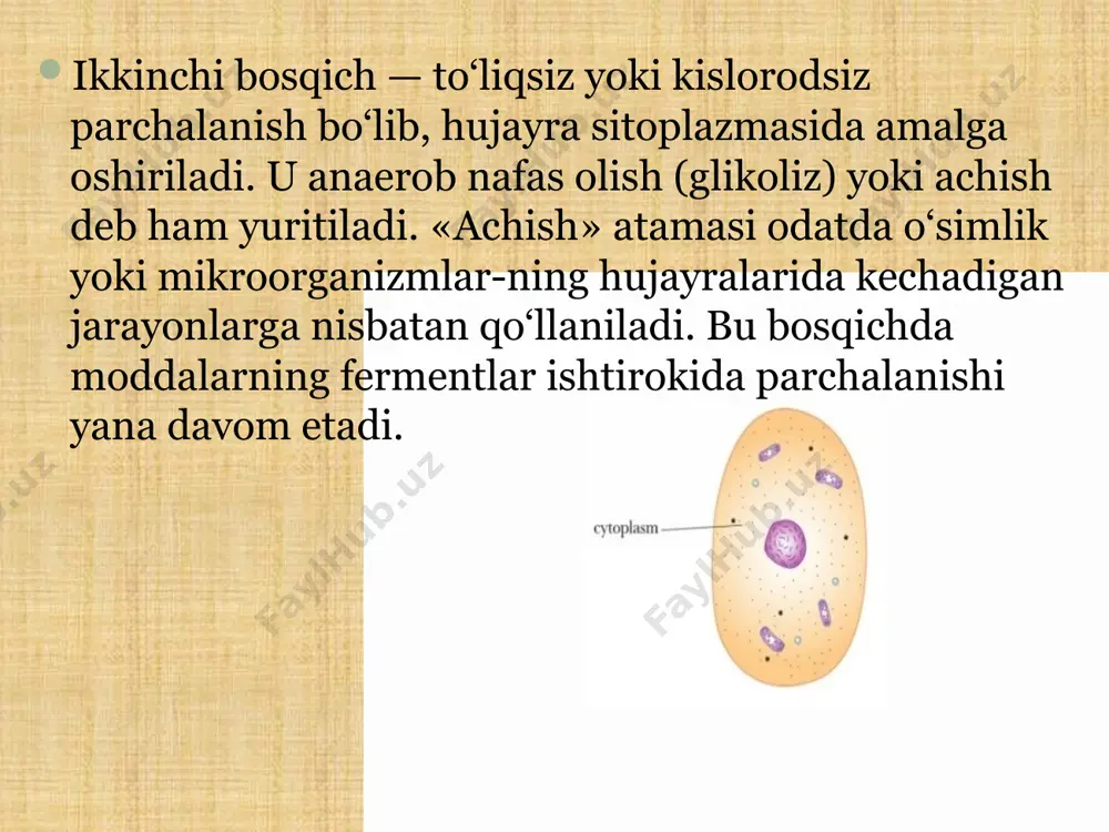 energiya almashinuvi bosqichlari. 9 - sinf - Page 4