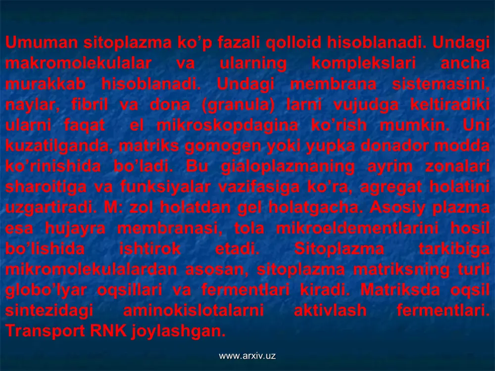 ishtirok etadi. oralik flimentlar – 8-10 diametrli bo’lib nomidan ko’rinib turibdiki, oralik xususiyatga ega va harakatda va sitoskelet hosil bo’lishida ahamiyatli. www.arxiv.uz www.arxiv.uz endoplazmatik tur – el mikroskop yordamida ochilgan eng muhim ahamiyatga ega bo’lgan organoidlardan bo’lib, eukariot hujayralarning barchsida uchraydi. ular ba’zan och rangda bo’lib membrana bilan chegaralangan kanalchalardan, vakuola, sisternalardan tashkil topgan membrana qalinligi 5-7 nm. u 2 xil bo’lib: donador va sillik tuzilishga ega. donador en tur ustida mayda donador tanachalar joylashgan bo’ladi. ular oqsil sintezini amalga oshiradigan sub birliklardir. sekntrafugalash yo’li bilan fraksiyasi tekshirilganda ularda ko’plab vezikulyar ko’pgichlar majud. ular mikrosomalar deyiladi. ular trubasimon emas, balki plastinkasimon ko’rinishga ega. donador en turda ribosomalar koplangan bo’ladi. ribasomalarning 5-70 tasi birlashib polisomalarni hosil qiladi. ribasomalarsiz kanalchalar sillik end tur deyiladi. ikkala ko’rinishi ham sintezda qatnashadi va tashish vazifasini bajaradi. donador end tur asosan oqsillar biosintezida aktiv qatnashadi, ularni hujayradagi harakatini ta’minlaydi. www.arxiv.uz www.arxiv.uz ikkinchi tip ribasomalarsiz sillik ko’rinishga …