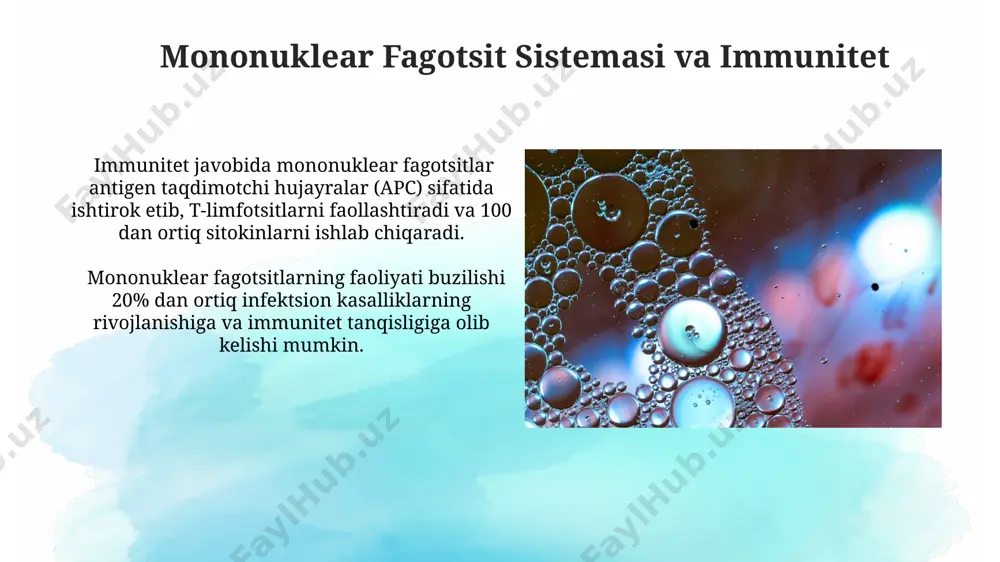 mononuklear fagotsit sistemasi - Page 5