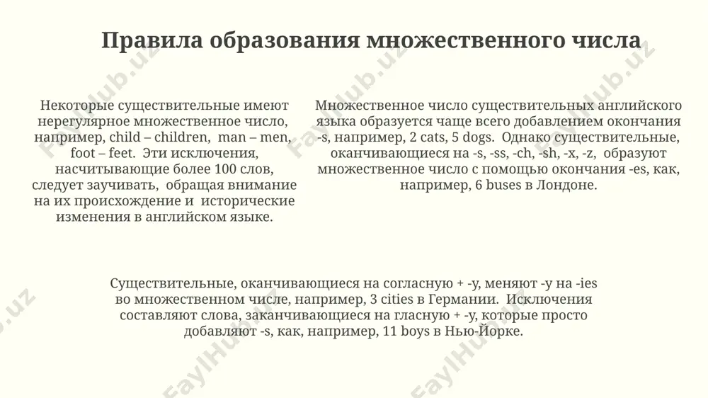 множественное число имен существительных - Page 5