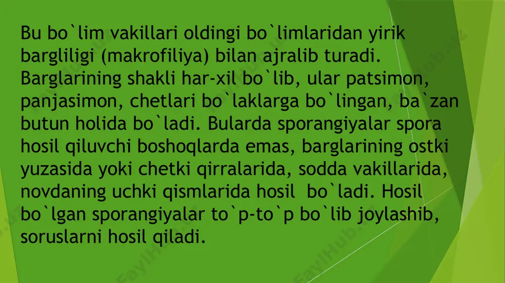 dales aspleniacea-aspleniyadoshlar schizaeales dryopteris filix-mas—o’rmon qirqqulog’i polypodiales cyatheales marsiliyakabilar ajdodchasi—marsileidae marsiliyanamolar—marsileales marsilia qvadrifolia-to’rt bargli marsiliya sal’viniyakabilar ajdodchasi - salviniidae salviniyanomalar—salviniales kladoksilonsimonlar ajdodi. bu ajdodga eng sodda tuzilgan, poleozoy, erasida yashagan, hozirda faqat qazilma holda uchraydigan o`simliklar kiradi. bularda hali haqiqiy paporotniklarga xos belgilar yuzaga kelmagan. barglari mayda yoki bargsiz bo`lgan. sporangiyalari barglarda turmasdan novdalarning uchlarida joylashgan. vakil: cladoxylon scoparium. bu o`simlikni bo`yi 25-30 sm.ga etib boradigan butacha shakldagi o`simlik. qazilma holda belgiya, frg, xitoy va kanadadan topilgan. ujovniknamolar ajdodi. shulardan bizning floramizda uchraydigan turi ophioglossum vulgatum.uning bo’yi 30sm gacha etib boradigan ildizpoyali o`simlik. ildizpoyadan er betiga 1 ta barg o`sib chiqadi. bu barg meva beruvchi va vegetativ qismlarga bo`linadi. sporangiyalar bargning meva beruvchi qismida hosil bo`ladi. sporalari bir xil shaklda. gametofiti ingichka chuvalchangsimon ko`rinishida bo`lib, er tagida 2-10 sm chuqurlikda rivojlanadi. uning kattaligi 2-3 sm bo`lib zamburug’lar bilan simbioz holda hayot kechiradi. gametofiti bir uyli. spermatozoidlari ko`p xivchinli. vegetativ yo`l …