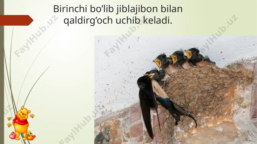 bahorda o’lkamizga uchib keladigan qushlar - Page 3