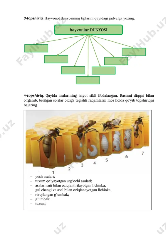 etaveradi? fikringizni bayon eting. tuzuvchi: pedagogika fanlari bo’yicha falsafa doktori(phd), dotsent u.e.raxmatov image6.png image1.png image2.png image3.jpeg image4.png image5.png