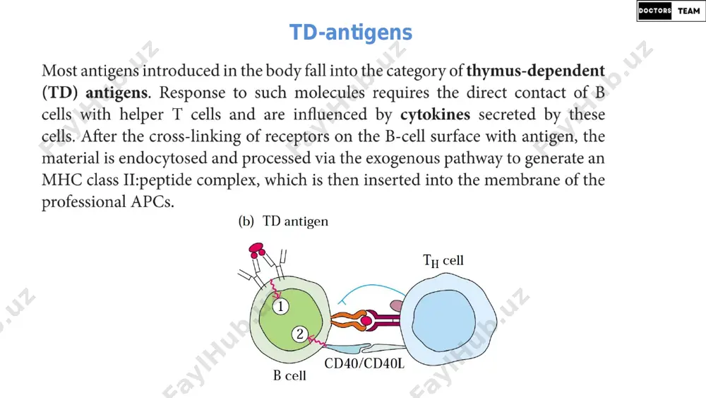 immunologiya darsi - 7 - Page 5