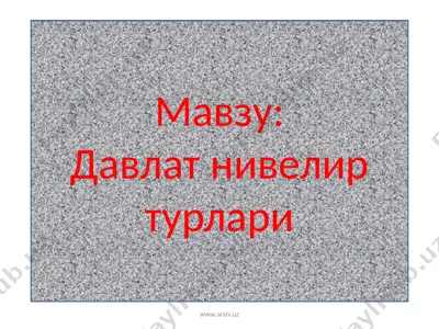 давлат нивелир турлари — PPTX