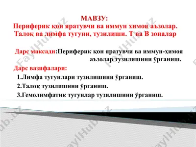 периферик қон яратувчи ва иммун химоя аъзолар. талоқ ва лимфа тугуни, тузилиши. т ва в зоналар — PPTX