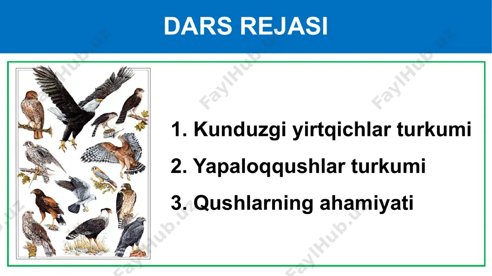 vjud; kaltakesak, kemiruvchilar, ayrim hollarda chigirtka, qo‘ng‘iz bilan oziqlanadi. tasqara eng yirik qush uzunligi 1,5 m qanotlarini yozganda kengligi 3 m og‘irligi 6 – 12 kg boshi va bo‘ynidagi patlari siyrak uchganida keng va uzun qanotlarida oqish patlari bor havoda uzoq vaqt qanot qoqmasdan ucha oladi, lekin yerda beso‘naqay qadam tashlaydi. tasqara tasqara hayvonlarning o‘laksasi bilan oziqlanadi. sayhonlik ustida soatlab uchib, o‘laksa izlaydi. tasqaraning tirnoqlari kuchsiz bo‘lganidan tirik hayvonlarga hujum qilolmaydi. lekin juda kuchli, uchi qayrilgan tumshug‘i bilan hayvonlar terisini yirta oladi. qirg‘iy uzunligi 52 - 68 cm qanotlari 125 cm vazni 0,7 - 1,5 kg. ko‘kragida va qorin qismida kulrang ko‘ndalang chiziqlar o‘tgan qushlar bilan, juda kamdan-kam hollarda mayda kemiruvchilar (sichqonlar, dala sichqonlari) bilan oziqlanadi lochin uzunligi 34-50 sm qanotlari 80-120 sm ♀ 910-1500 g ♂ 440-750 g patlari rangi qoramtir - kulrang, qorin qismi oqish boshqa qushlar, ayrim sut-emizuvchilar bilan oziqlanadi burgut uzunligi 75 - 90 сm dumi …