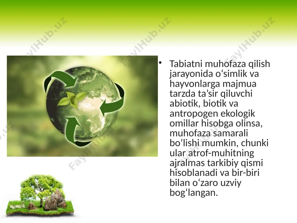 arda faqat ilmiy tadqiqot ishlari olib boriladi. ayrim qo‘riqxonalar biosferaga oid deb e’lon qilingan. ularda har bir tabiiy hududlar uchun o‘ziga xos bo‘lgan biogeotsenozlar saqlanadi. davlat buyurtma qo‘riqxonalari(zakazniklar) – muhofaza qilinadigan hududlar, ularda tabiiy boyliklardan cheklangan miqdorda foydalangan holda ovlanadigan hayvonlar va o‘simliklar muhofaza qilinadi. zakazniklar dorivor o‘simliklar, qo‘ziqorinlar, rezavor mevalarni terish, baliq tutish uchun xizmat qiladi va odatda, ma’lum muddatga tashkil etiladi. milliy (tabiiy) bog‘lar – qo‘riqlanadigan hududlar va suv sathining cheklangan qismi, u yerda ekologik, tarixiy va estetik ahamiyatga ega tabiiy majmualar joylashgan. qo‘riqxonalardan farqli ravishda, milliy bog‘lar maydonining bir qismi muntazam ravishda tashrif buyurish uchun ochiq bo‘ladi. botanika va zoologiya bog‘lari. hayvonlarning va o‘simliklarning noyob turlari sonini saqlash va tiklash ishida botanika va zoologiya bog‘lari muhim ahamiyatga ega. ular tabiatda yo‘q bo‘lib ketayotgan alohida organizm turlarini qutqarish va shu bilan biosfera tirik moddalari genofondini, uning bioxilma-xilligini saqlash imkonini beradi. tabiat yodgorliklari – ilmiy, madaniy – o‘quv yoki …