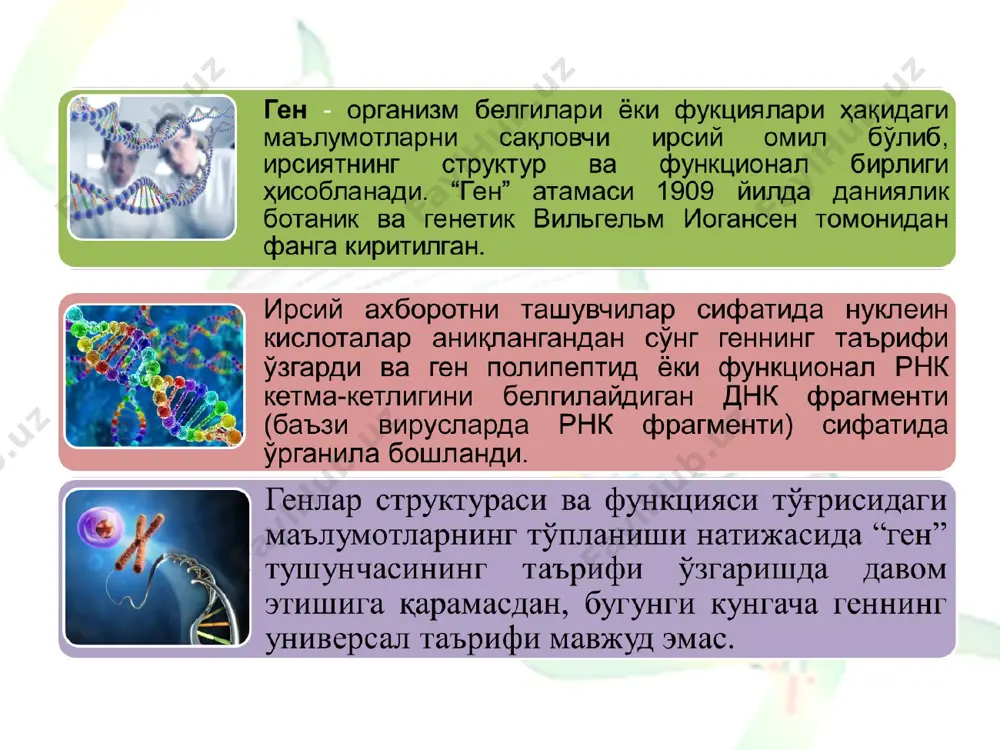 г икки ёки ундан ортиқ шакллларидан бири. аллел маълум миқдор чегарасига қадар тегишли белги ривожланишини таъминлайди. генларнинг мувозанатли ўзаро таъсири организмнинг нормал ривожланишини таъминлайди, шунингдек улар ҳаётчанлигини оширади, чунки улар атроф-муҳит шароити ўзгаришларига организмнинг функционал мослашувчанлигининг ривожланиш даражасини тартибга солади. * этиборларингиз учун рахмат эътиборингиз учун рахмат! * диплоид ҳужайрадаги альтернатив генларнинг аксарияти гомологик хромосомаларнинг бир хил локусларида жойлашган иккита аллел билан ифодаланади, яъни уларнинг генетик миқдори иккита. шу билан бир қаторда альтернатив генларнинг миқдори уларнинг функционал мақсадига боғлиқ деган хулосага келиш мумкин. альтернатив генлар қарама -қарши белгиларнинг ривожланишини белгилаб, уларнинг жуфтлари аллеморф деб аталади. бундай ҳолларда жуфтлик ҳодисасини аллелизм деб аташ мумкин. ҳар бир генда иккита ҳолат мавжуд – а ва а, шунинг учун улар битта жуфтликни ташкил қилади ва жуфтликнинг ҳар бири алоҳида аллел деб аталади. аллел генларнинг ўзаро таъсири бу - бир белги учун бир нечта генлар жавобгар бўлган тизимдир. альтернатив генлар ўзаро таъсирнинг ҳар хил турларини …