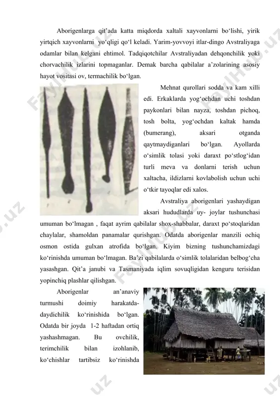 lar tartibsiz kо‘rinishda emas, balki asrlar davomida saqlangan yо‘nalishlar bо‘yicha harakatlanganlar. bu tadbirlar mavjud hududdagi flora va fauna imkoniyatlari bilan izohlangan. xar qanday aborigen erkak, xar qanday vaqtda qabilasi yerlarining qaysi joyida ov uchun qushlar borligi, yaqin va ma’lum vaqtdan sо‘ng ular qayerga kо‘chishini yaxshi bilgan. ayollar qayerda va qachon ozuqaga yaroqli о‘simlik, ildiz yoki yovvoyi mevalar pishib yetilishini bilishgan. aynan ana shu bilimlar aborigenlarni qaysi tomonga xarakatlanishini belgilagan. etnologlar tadqiqotlari aborigenlar zarur ozuqa tо‘plashlari uchun kuniga 2-3 soat vaqtlarini sarflaganlarini aniqlashi aynan shu ratsional bilimlar tufayli ekanligini tasdiqlaydi. ozuqa doirasiga kaltakesak, hasharotlar, kenguru, opossum, о‘simlik zahiralaridan: yovvoyiboshoqli donlar, ildizlar va mevalar kirgan. aborigenlar jamoa tashkilotlari: qabila, lokal guruh (jamoa) va oiladan tashkil topgan. avstraliyada qabila о‘rtacha 500 kishidan iborat guruh bо‘lgan qabila ma’lum hudud, о‘z nomi etnonimiga, tiliga ega bо‘lib, о‘zlarini alohida madaniy birlik deb hisoblashadi. lekin umumiy boshliq, hokimiyat tashkilotlari bо‘lmay, qabilaning barcha a’zolari xarbiy yoki ov xarakatlarida …