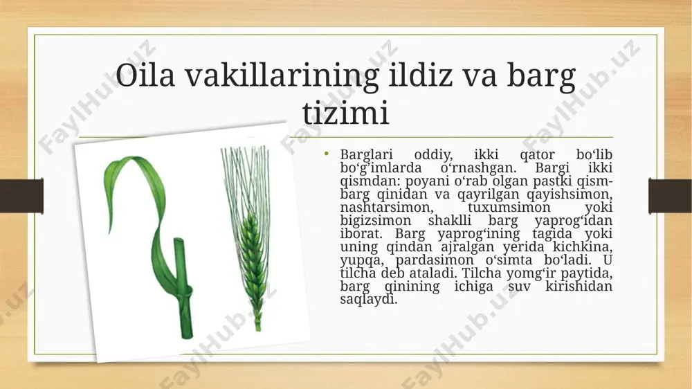 "bug’doydoshlar oilasi" - Page 4