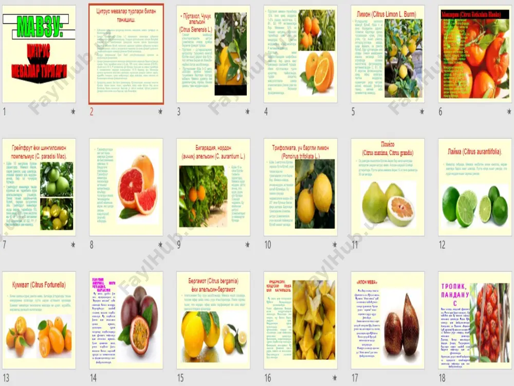 citrus mevalar turlari - Page 2