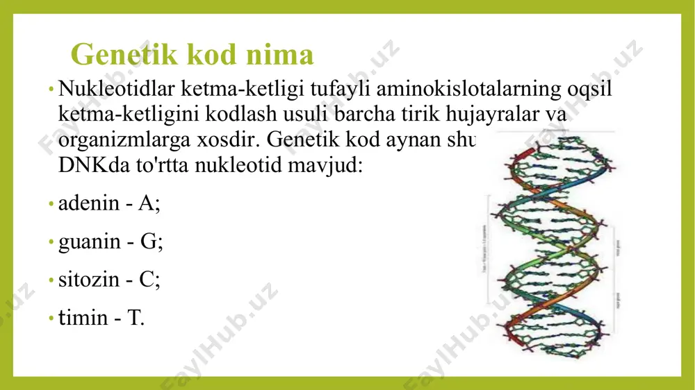 g ketma-ket joylashishini bildiruvchi bunday belgilar tizimini tushunish odatiy holdir, bu protein molekulasidagi aminokislotalar birikmalarining ketma-ketligini aks ettiruvchi boshqa belgilar tizimiga mos keladi. olimlar genetik kodning xususiyatlarini o'rganishga muvaffaq bo'lganda, universallik asosiylaridan biri sifatida tan olindi. ha, qanchalik g'alati tuyulmasin, hamma narsani yagona, universal, umumiy genetik kod birlashtiradi. u uzoq vaqt davomida shakllangan va jarayon taxminan 3,5 milliard yil oldin tugagan. shuning uchun kodning tuzilishida uning paydo bo'lishidan to hozirgi kungacha bo'lgan evolyutsiya izlarini kuzatish mumkin. genetik koddagi elementlarning ketma-ketligi haqida gapiradigan bo'lsak, bu uning xaotiklikdan uzoq ekanligini, lekin qat'iy belgilangan tartibga ega ekanligini anglatadi. va bu ham asosan genetik kodning xususiyatlarini aniqlaydi. bu so'zlardagi harflar va bo'g'inlarning joylashishiga teng. bu odatiy tartibni buzishga arziydi va biz kitoblar yoki gazetalar sahifalarida o'qiydigan narsalarning aksariyati bema'ni gaplarga aylanadi. genetik kodning asosiy xossalari odatda kod maxsus tarzda shifrlangan ba'zi ma'lumotlarni o'z ichiga oladi. kodni ochish uchun siz farqlovchi xususiyatlarni bilishingiz kerak. shunday …
