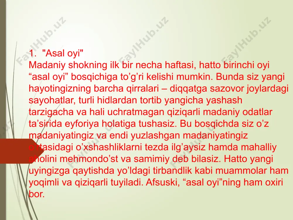 madaniy shok va akkulturatsiya - Page 5