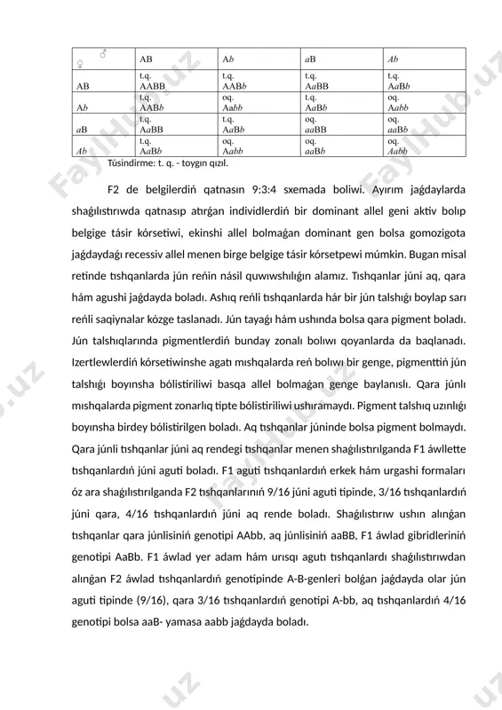aq, gúbelek tárizli hám uzınsha kóriniste boladı. hár bir dominant allel bolmagan gen recessiv allel gensiz domalaq formadaǵı qabaqlardı rawajlandıradı. genotipi hár qıylı bolǵan yeki túrli domalaq qabaqlar óz ara shaǵılıstırılsa, dominant komplementar genler g-d- tásirinde f1 de iyretilgen qabaqlar rawajlanadı. f1 gibrid qabaq óz ara shaģılıstırılsa f2 de 9/16 dóńgelek, 6/16 domalaq, 1/16 uzınsha formadaǵı miyweler payda boladı. komplementar násilliklanishda dominant allel bolmaǵan genlerdiń óz-ara tásirin hám retsessiv allel bolmaǵan genlerdiń gomozigota jaǵdayda bolǵanda jańa belgilerdi payda etiwi. test toplamı. 1. komplementar násilleniw degen ne? a) bir áwladtıń eki gen tárepinen basqarılıwı. b) genetikalıq ózgerisler hám mutaciyalardı úyreniw. c) eki yamasa onnan artıq genlerdiń óz ara tásiri. d) násillik qásiyetlerdiń miynet hám aǵartıwshılıq arqalı ótiwi. 2. komplementar násilleniwde qanday genler rol oynaydı? a) recessiv genler. b) dominant genler. c) bir-birin tolıqtıratuģın genler. d) uliwma genler. 3. komplementar násilleniwde qanday baylanıslar boladı? a) óz ara dominantlıq. b) recessiv genler menen …