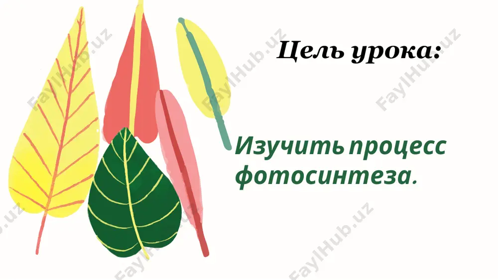 редставьте себе, что вы лучик солнца. попытайтесь совершить путешествие по растению. начните с зелёного листа. опишите судьбу солнечного лучика. используйте понятия: «фотосинтез», «хлорофилл», «солнечная энергия», «энергия химической связи», вещества: углекислый газ, кислород, органические вещества. задание по группам: что такое фотосинтез? где в растениях образуются органические вещества? какие условия необходимы для образования крахмала в листьях? какой газ в процессе фотосинтеза поглощается зелёными растениями? какой газ растения выделяют в процессе фотосинтеза? какое значение имеет процесс фотосинтеза в природе и жизни человека? дайте ответ на вопрос: image1.png image2.jpeg image3.jpeg image4.png image5.png image6.jpeg image7.png image8.jpeg image9.png image10.png image11.jpeg image12.png image13.jpeg image14.png