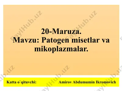 20-maruza: patogen misetlar va mikoplazmalar — PPTX