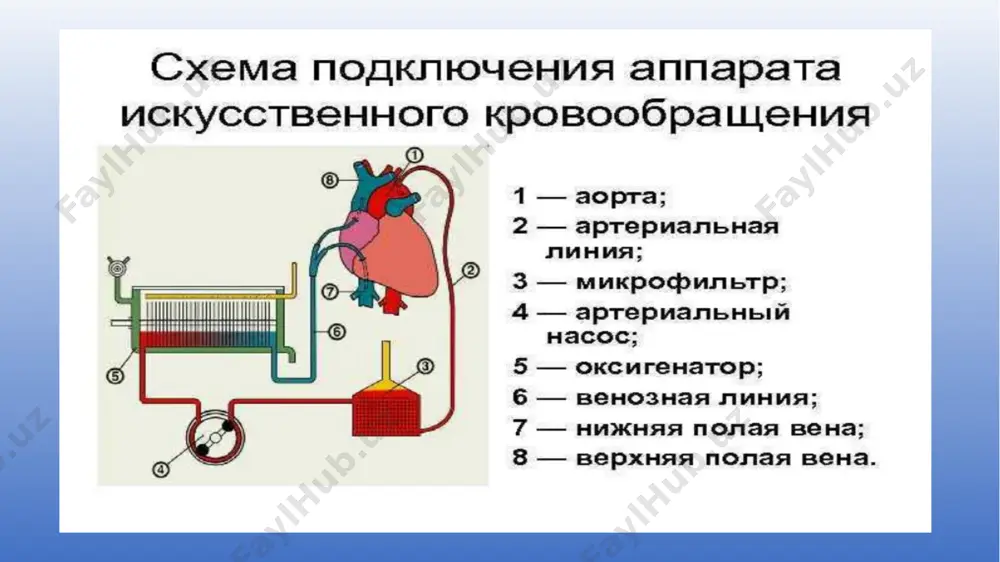 рат искусственного кровообращения? подключают аппарат искусственного кровообращения: канюлю для нижней полой вены проводят через один разрез в эпигастральной области, который впоследствии используют как дренажное отверстие, а канюлю для аорты проводят через дополнительный разрез в яремной вырезке, после проведения канюль, канюляции и затягивания ... 11 сергей сергеевич брюхоненко — создатель метода искусственного кровообращения (к 125-летию со дня рождения). 12 13 14 спасибо за внимание 15 image1.tmp image2.tmp image3.tmp image4.tmp image5.tmp image6.jpeg image7.jpeg image8.jpeg image9.jpeg image10.jpeg /docprops/thumbnail.jpeg