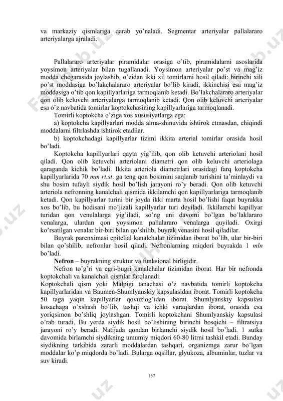 olgan ikki qismdan iborat ekanligi ko’rinadi. po’st modda to’q qizil rangli bo’lib, donador holatda ko’rinadi va kapsula ostida qalin qavat holida yotadi. mag’iz moddasi sarg’ishroq bo’lib, bo’lakchalarga – piramidalarga bo’linadi. buyrakdagi piramidalar soni 8-12 ta bo’ladi. piramidalarning keng asosi po’st moddaga, uchi esa buyrak kavagiga qaratilgan bo’ladi. 2-3 piramidalarni uchi qo’shilishidan so’rg’ich shakllanadi. har bitta so’rg’ichning uchida 10-20 gacha so’rg’ich teshiklari ochiladi. 1-3 so’rg’ichlar uchi kichik buyrak kosachasini bo’shlig’iga qaratilgan. kichik kosachalarni soni 7-8 ta bo’ladi. bir nechta kichik kosachalar 3-5 katta kosachalar ichiga ochiladi. katta kosachalar bir-biri bilan qo’shilib, bitta umumiy bo’shliqni – buyrak jomini hosil etadi. buyrak jomi asta-sekin torayib, siydik yo’liga o’tadi. siydik so’rg’ichlar teshiklaridan avval kichik kosachalarga, keyin katta kosachalarga, buyrak jomiga va u yerdan siydik yo’liga tushadi. po’st va mag’iz moddalar orasida keskin chegarasi bo’lmaydi. mag’iz moddaning piramidalari oralig’iga po’st moddaning bir qismi ustunchalar holida kiradi. po’st moddaning ana shu qismi buyrak ustunchalari – bertini …