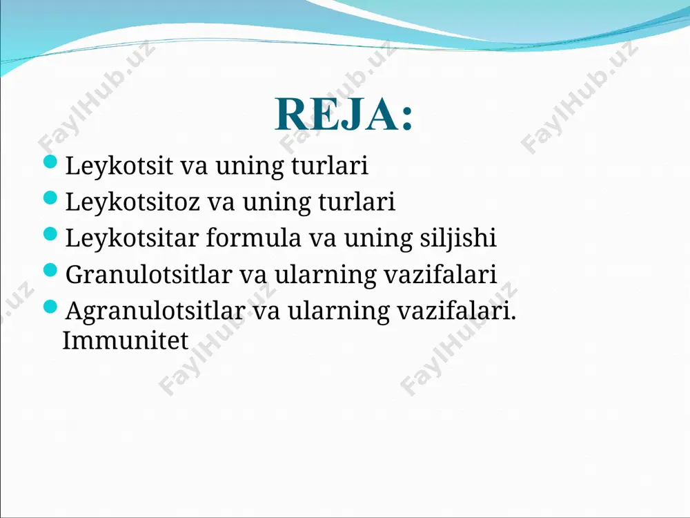 lar quyidagi asosiy vazifalarni bajaradi: -gijjaga qarshi immunitet yoki sitotoksik ta’sir; -antigenlarning qon oqimiga tushishiga to’sqinlik qiladi; -gistaminni parchalovchi gistaminaza fermentini ishlab chiqaradi; shuningdek bazofillardan ajraladigan granulalarni fagotsitoz qilish xususiyatiga ega eozinofillar allergik hollarda, gijja kasalliklarida ko’payadi. мonotsitlar 2 – 10 % mononuklear-fagotsitar tizimining markaziy qismi. monotsitlar qonda 70 soat aylanib yuradi. to’qimalarga migratsiyalanadi va makrofaglarni hosil qiladi. eng kuchli fagotsitoz xususiyatiga ega va bakteriotsid tasir qiladi. interleykenlarni ishlab chiqaradi. ular uchun xos: lizosomalarni miqdori maksimal bo’lishi va psevdopodiyalarni miqdori maksimal bo’lishi va psevdopodiylar hosil qilish makrofaglar spetsifik immunitetda ishtirok qiladi limfotsitlar 18 – 40% asosiy funksiyasi spetsifik immunitet reaksiyalarda ishtirok etadi limfotsitlarning т, b va o turlari farqlanadi: t-limfotsitlar hujayra immunitetini taminlaydi, b limfotsitlar gumoral immunitetga javobgar hujayralar hisoblanadi. т limfotsitlarning quyidagi turlari mavjud: t killerlar- qotil hujayralar bolib, yot bo’lgan hujayralarni tanib olib ularni lizisga uchratadi. t xelperlar – yordamchi hujayralar bo’lib, t-t va t-b limfosit turlari bolib, …