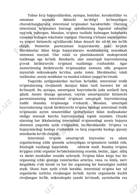 zma metabolik apparatining rediksiyasini kuzatish mumkin. aniqroq qilib aytganda ept sisternasining diametri qisqaradi. golji kompleksi strukturalari joylashgan soha kichrayadi, goplazma zichlashadi va hokazo, ya’ni hujyralarning qar bosqichlarini aks ettiruvchi fibroblast-fibrositlarni ko’plab aniqlash mumkin. zavarzin bayoniga ko’ra, birlamchi og’izlilar, xususan, hashoratlar interstisial to’qimalarining hujayralararo moddlari xuddi umurtqali hayvonlarniki sinari asosiy modda va tolali tuщilmalardan tashkil topgan. tolalar orasida umurtqalilarnikidek kollagen tolachalar topiladi. ular juda aniq-ravshan va bir tartibda bo’ladi. har qaysi tolaning chetlarida ikkitadan keng elektron zich disklar joylashgan bo’ladi. tuban ko’p hujayralilardan, ayniqsa, bulutlar, kovakichlilar va umuman tanasida ikkinchi bo’shlig’i bo’lmaydigan chuvalchanglarning interstisial to’qimalari harakterlidir. ularning interstisial to’qimalari burungi ajdodlarining fagosital tabiatini uyg’otib yuborgan. masalan, to’qima tuzilishi bulmagan bulutlarda rosmana kollagen tolachalar topilgan. ularning o’lchami umurtqalilar va yuqori birlamchi og’izlilarniki bilan deyarli bir xil-66 nm bo’lib chiqdi. nemertin parenximasi hujayralarida juda ko’plab fibroblastlar bilan birga hujayralararo moddalarning murakkab sistemasi mavjud. ular tolali va plastinkasimon mukoproteid tuzilmaga ega bo’ladi. binobarin, ular …