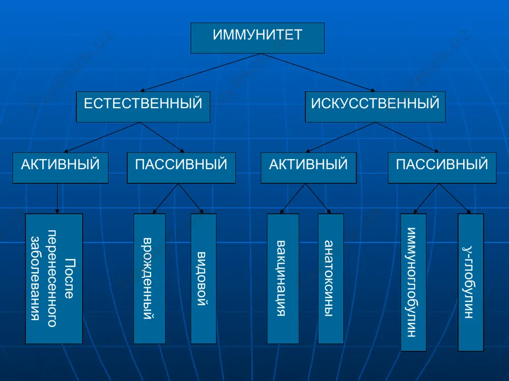 98.9 96.5 корь 97.6 83.9 84.1 82.2 71.1 80.5 94.5 88.4 95.4 95.6 98.9 98.9 96.5 96.7 столбняк 92.2 84.3 83.2 49.2 69.7 87.7 95.1 96.3 98.5 98.6 99.1 98.5 98.6 столбняк 92.2 84.3 83.2 49.2 69.7 87.7 95.1 96.3 98.5 98.6 99.1 98.5 98.6 98.1 560.6 511.4 503.9 362.8 446.2 537 572.6 571.7 586.1 588.3 593.1 591.8 589.9 вгв 0.9 5.4 8.2 62 98.3 98.5 средний охват 93.4 85.2 84.0 60.5 74.4 89.5 95.4 95.3 97.7 98.1 98.9 98.6 98.3 заболеваемость заболеваемость 1990 1991 1992 1993 1994 1995 1996 1997 1998 1999 2000 2001 2002 2003 2004 1990 1991 1992 1993 1994 1995 1996 1997 1998 1999 2000 2001 2002 дифтерия абс. 12 16 29 137 232 638 163 28 4 5 4 0 0 0 0 дифтерия мутлок 12 16 29 137 232 638 163 28 4 5 4 0 0 корь абс. 3943 3870 2020 2319 1159 …