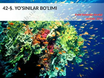 yo'sinlar bo'limi. 6 - sinf — PPTX