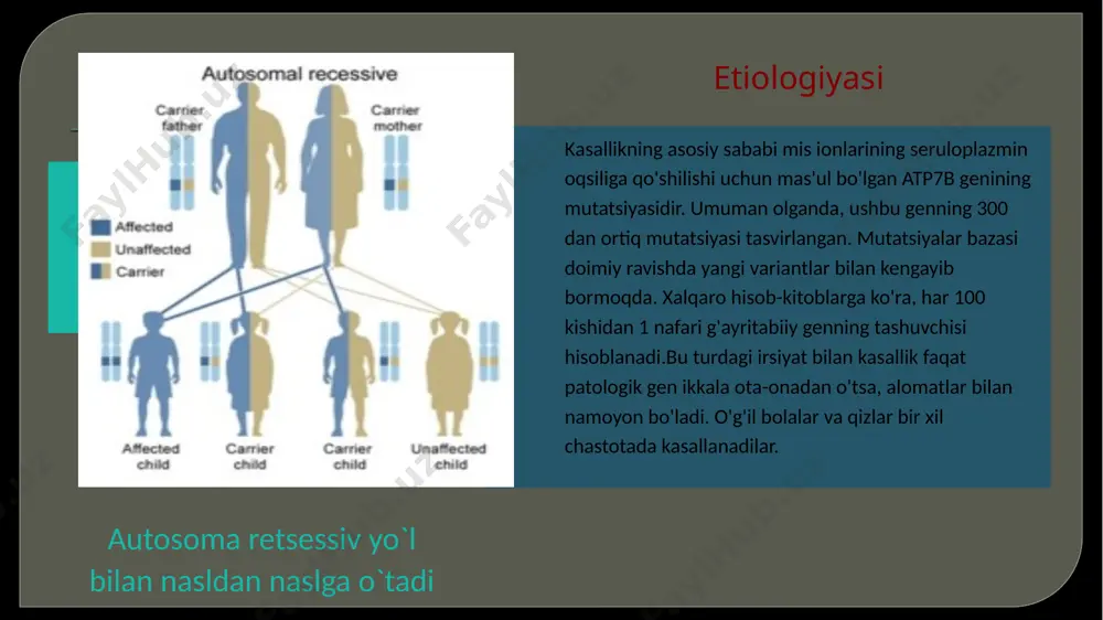 n zaharlanish darajasini sekinlashtiradigan va shikastlanishni kamaytiradigan preparatlar qo'llaniladi. bundan tashqari, simptomatik terapiya o'tkaziladi. medikamentoz davolanish image2.jpeg image3.png image4.jpeg image5.jpeg image6.png image7.jpeg image8.jpeg image9.jpeg