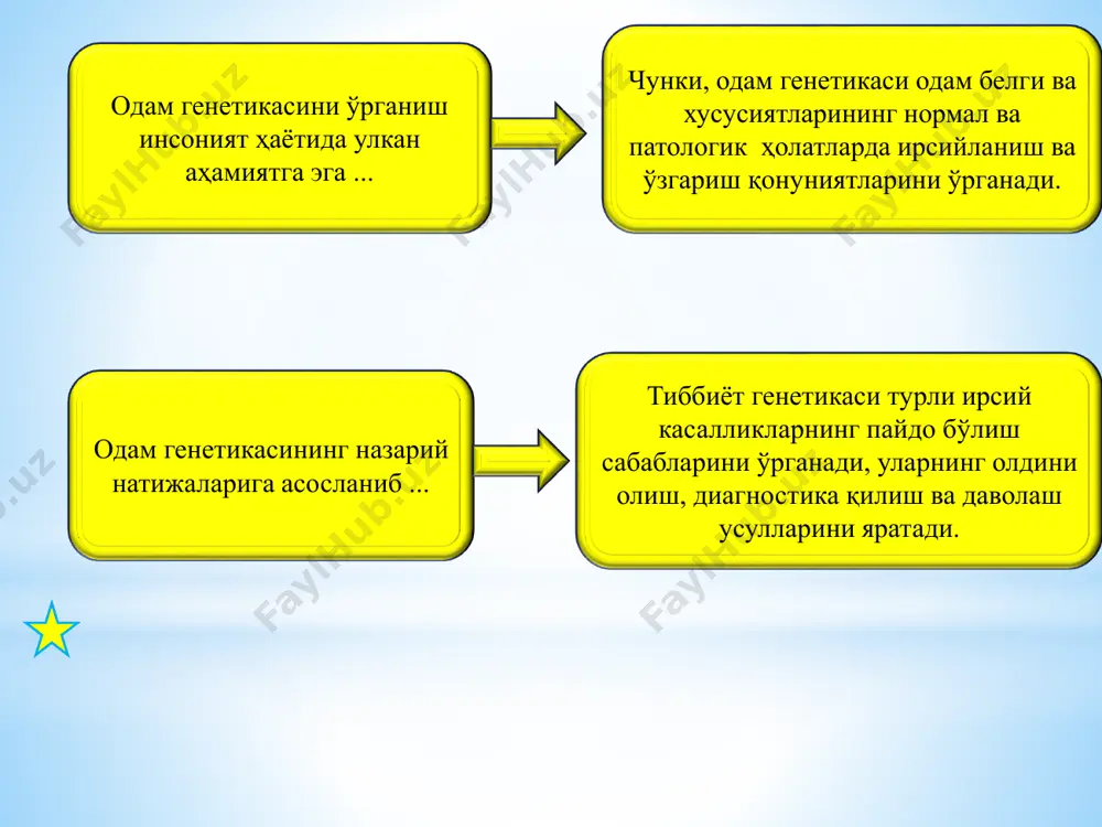 тенг миқдорда насл беришиди статистик таҳлил қилишда харди- вайнберг тенгламасидан фойдаланилади молекуляр генетик усул секвенирлаш ген дактилоскопия (генотипоскопия) днк зондлари секвенирлаш днк нуклеотидлар кетма- кетлигини аниқлаш усули булиб, у - днк зондларини тайёрлашда генларни клонлаштиришда биотехнологияда ген терапиясида қўлланилади *днк зондлари методи *бу метод молекуляр генетиканинг замонавий усулларидан бўлиб, тиббиёт генетикасида амалиётида кенг қўлланилмоқда. *бу метод ёрдамида днк полиморфизми ўрганилиб, ирсий касалликлар диагностикасида қўлланилади. *бу метод ёрдамида рецессив мутант геннинг гетерозигота ташувчиларида дефект генларни аниқлаш мумкин. *днк зондлари усули- зонднинг касал днкси қисми билан дурагайлашишига асосланади. зондлар- мутант генга мос келувчи нишонланган қисқа нуклеотидлар кетма-кетлиги. *бу усул қуйидаги мақсадларда қўлланилади: *1. мутант геннинг днкдаги локусини аниқлашда. *2.ген мутацияларига боғлиқ касалликларга ташхис қўйишда *3.генларни хариталаштиришда. *4. генни гетерозигота ташувчиларини аниқлашда. * ген дактилоскопия усули (генотипоскопия) илмий методлар тизими бўлиб, унинг ёрдамида индивидларнинг днксидаги нуклеотидлар кетма-кетлиги биологик идентификация қилинади. - днк молекуласида ўзгармас (консерватив) ва ўта ўзгарувчан (гипервариабел) қисмлари мавжуд. ўта ўзгарувчан …