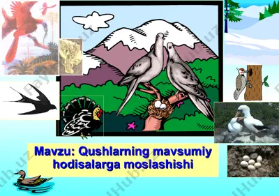 qushlarning mavsumiy hodisalarga moslashishi — PPT