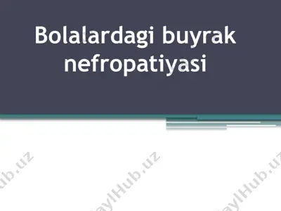 bolalardagi buyrak nefropatiyasi — PPTX