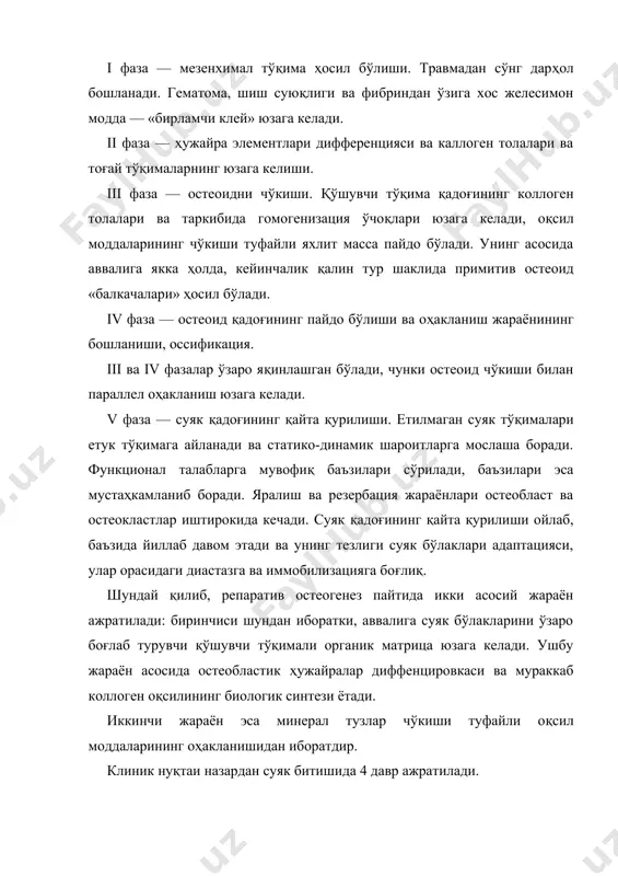 анинг бошланишига тўғри келади. янги туғилган нозик тўқимани травматизациядан асраш зарур. ii давр — суяк бўлакларини юмшоқ қадоқ билан боғланиши, 10-50 ва ундан ортиқроқ кунлар ичида кечади, ва ii-iii морфологик фазалари мос келади. iii давр — суяк булаги битиши, яъни қаттиқ қадоқ билан боғланиши. 30-90 кундан кейин бошланади ва 4 морфологик фазага тўғри келади. бу давр охири клиник белгилар асосида аниқланади: таъсир кучи берилганда эластиклик ва оғриқ йўқлиги. аввалига рентгенологик томондан оссификация тугалланмаган бўлиши мумкин. бу давр охирида суяк бўлакларининг рентгенологик битганлиги аниқланади, қайсиким иммобилизацияни тўхтатишга асос ҳисобланади. iv давр — суяк тўқимасининг функционал қайта қурилиши, 5 морфологик фазага тўғри келади ва 1 йилгача ва ундан ортиқ давом этади. клиник ва рентгенологик жиҳатдан суяк бўлакларининг етук суяк тўқимаси ёрдамида мустаҳкам битганлиги аниқланади. суяк бўлаклари битишида, юмшоқ тўқималар битиши каби, шартли равишда бирламчи ва иккиламчи битиш фарқланади. бирламчи битиш — суяк бўлаклари бир-бирига зич тегиб, харакатсиз ҳолда бўлганида кузатилади ва жуда …
