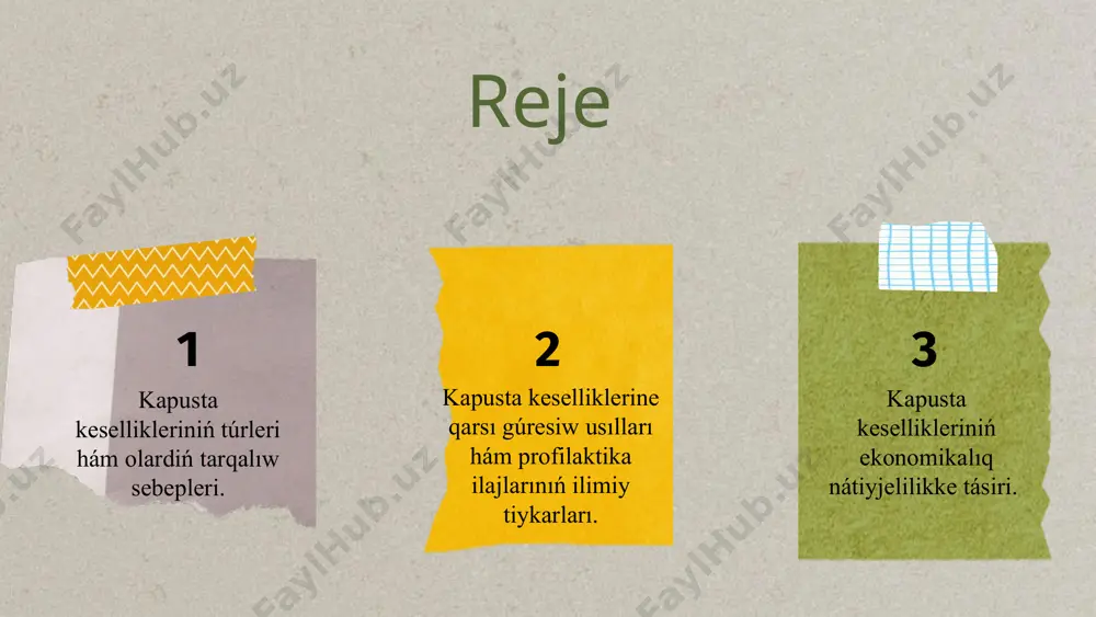limine ziyan jetkeredi.bul kesellikler túrli patogen organizmler, yaǵnıy zamarrıqlar, bakteriyalar, viruslar, sonday-aq, agrotexnikalıq qátelikler hám tábiyǵıy faktorlar sebepli kelip shıǵadı. kapusta keselliklerin olardıń kelip shıǵıwına qarap bir neshe toparǵa ajıratıw múmkin: 1.zamarrıqlı kesellikler: kapusta ushırasatuǵın yeń kóp tarqalǵan kesellikler zamarıqlı kelip shıǵıwǵa iye. olardan qara shiriw (alternaria brassicicola),tamır buwını shiriw (rhizoctonia solani), sklerotiniya (sclerotinia sclerotiorum) hám kilet keselligi (plasmodiophora brassicae) keń tarqalǵan. bul zamarrıqlı kesellikler ósimlik denesinde qarawıw, shiriw, suwlı daqlar hám ósiwdiń toqtawı sıyaqlı belgiler menen kórinedi. 2. bakterial kesellikler: kapusta qara daq keselligi (xanthomonas campestris) hám jumsaq shiriw (erwinia carotovora) bakterial infekciyalardıń tiykarǵı formaları. bul kesellikler, ásirese, ıǵal hám ıssı sharayatlarda tez tarqaladı. bakterial infekciyalar nátiyjesinde ósimliktiń toqımaları jumsaq halǵa keledi, iyiskeledi hám shiriydi. keselliklerdiń ziyanı hám olardıń ónimge tásiri. kapusta kesellikleri ónimdarlıqqa tikkeley unamsız tásir kórsetedi. zamarrıqlı hám bakteriyalıq kesellikler kapustıń japıraqların keptiredi, bas payda bolmawına sebep boladı, hátte tamırlardıń pútkilley shiriwine alıp keledi. viruslı kesellikler bolsa …