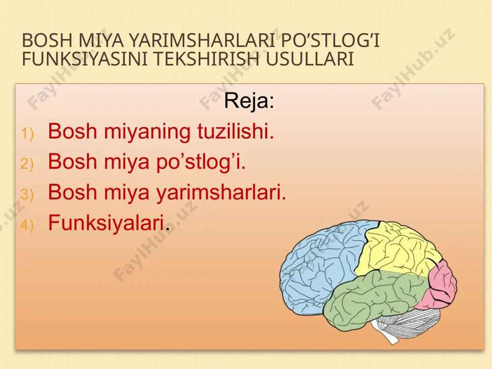 toʻliqroq ma’lumot uchun asosiy maqolalar, bosh miya poʻstlogʻi va bazal oʻzaklarga, qaralsin. bosh miya miyaning asosiy qismi boʻlib, hissiyot, eshitish, koʻrish, shaxsiyat va yana koʻplab funksiyalarni boshqaradi. u barcha ixtiyoriy harakatlarni boshqaradi. birlamchi harakatlantiruvchi poʻstloqdagi yuqorigi harakatlantiruvchi neyronlari miya ustuni va orqa miyaga oʻz aksonlarini yuboradi va u yerda muskullarni innervatsiya qiluvchi pastki harakatlantiruvchi neyronlar bilan sinapslar hosil qiladi. poʻstloqdagi tasodifiy oʻgarishlar natijasida harakatlantiruvchi sohalarning zararlanishi ma’lum turdagi harakatlantiruvchi neyron kasalligiga olib kelishi mumkin. bu turdagi zararlanish natijasida total shol emas, muskul kuchi va aniqligi yoʻqolishiga olib keladi. e’tiboringiz uchun rahmat! image3.jpeg image4.jpeg image5.png image6.gif image7.jpeg image8.jpeg image9.jpeg image10.jpeg image11.jpeg image12.jpeg image13.jpeg image14.jpeg image15.jpeg image16.jpeg /docprops/thumbnail.jpeg