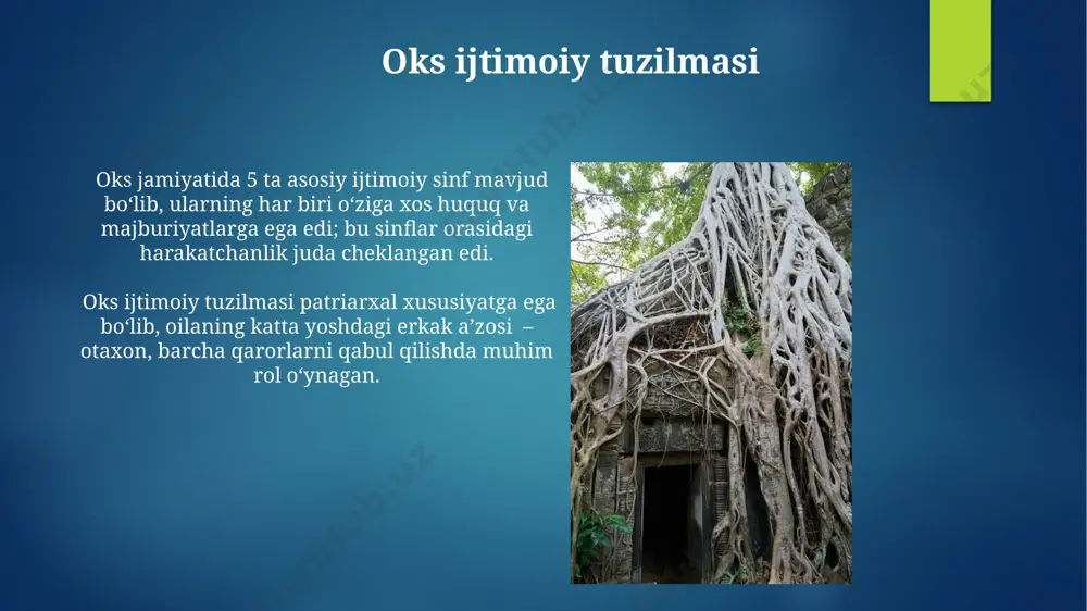 ligi va dehqonchiligi donli ekinlar, jumladan bug'doy va arpa, oks dehqonchiligida muhim o'rin egallagan, ularning hosildorligi o'rtacha 1 gektar maydondan 5-7 sentnerni tashkil etgan. oks tsivilizatsiyasi davrida paxta yetishtirish 30% ga yaqin hosilni tashkil etgan bo'lib, sug'orish tizimlari samaradorligini oshirish uchun kanallar va arig'lar keng qo'llanilgan. oks tsivilizatsiyasining qadimgi tarixi oks tsivilizatsiyasi miloddan avvalgi 3000 yillarga oid arxeologik dalillarga ega boʻlib, ularning dastlabki shaharlari unumdor vohada qurilgan. oks yozuvi taxminan 2000 ta belgidan iborat boʻlib, uning faqat 10% ga yaqini hozirgi kunda dekodlangan. oks yozuvi va tili oks tili agglutinativ xususiyatlarga ega boʻlib, soʻzlarga qoʻshimchalar qoʻshish orqali murakkab grammatik tuzilmalarni ifodalaydi, taxminan 500 ga yaqin lug'at birligi aniqlangan. oks yozuvi taxminan 3000 yil avval, miloddan avvalgi 1000 yillarga toʻgʻri keladigan davrda paydo boʻlgan va 20 ga yaqin harfdan iborat boʻlgan. oks tsivilizatsiyasining boshqa madaniyatlar bilan aloqasi oks tsivilizatsiyasining janubiy turkmaniston va shimoliy afg'oniston madaniyatlari bilan genetik aloqasi genetik tadqiqotlar natijalariga …