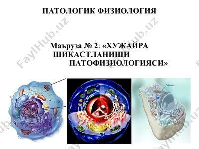 xujayra shikastlanishining patofiziologiyasi — PPT