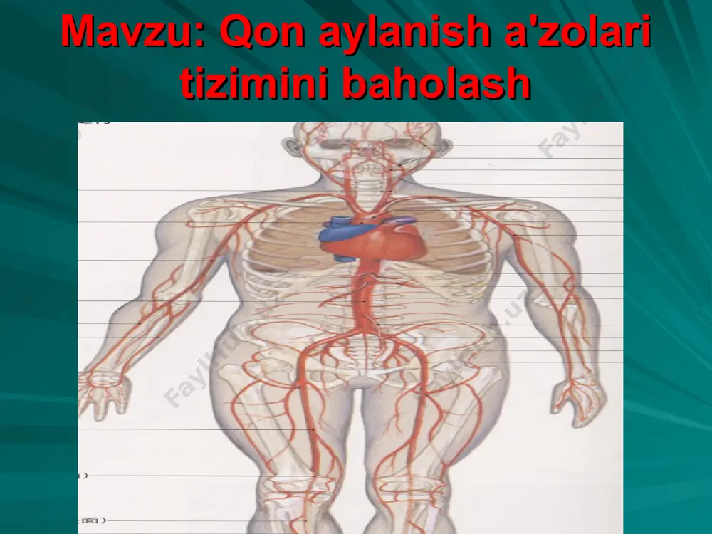 do bo’ladi, qisqa muddat ichida vaznni ortishi, qovoqlar shishi, boldirni old tomonini yoki oyoq kafti ustki yuzasini bosganda chuqurcha paydo bo’lishi, oliguriyaga moyillik paydo bo’ladi. yo’tal - bu tirik organizmning ximoya funksiyalaridan biri bo’lib, nafas yo’llaridagi turli ajralmalar va yot jismlarni chiqarib tashlashni ta’minlaydigan reaksiyadir. a/b ko’tarilishi - gipertonik kasallikning asosiy belgisi xisoblanadi. a/b ni qisqa muddatga ko’tarilishi jismoniy va ruxiy zo’riqishlarda ro’y beradi. agar a/b doimiy va uzoq muddat davomida yuqori bo’lsa, bu ichki a’zo va sistemalarda jiddiy o’zgarishlarga olib keladi. sianoz- qonda tiklangan gemoglobinning mikdorini absolyut kuyuklashuvi hisobiga paydo bo’lib, u anemiyasi bor bemorlarda kamdan-kam xollarda paydo bo’ladi. sianoz lablarda, tirnoq atrofida, burun uchlarida va quloq uchida paydo bo’ladi. yurak xajmi 250—300 g ni tashkil etadi. uzunasiga ketgan to’siq bilan yurak chap va o’ng nimtaga bo’linadi. har bir nimtasi yurak bo’lmachasi bilan yurak qorinchasiga bo’linadi. yurak uch qavatdan: ichki — endokard, o'rta — miokard va tashqi - perikarddan …