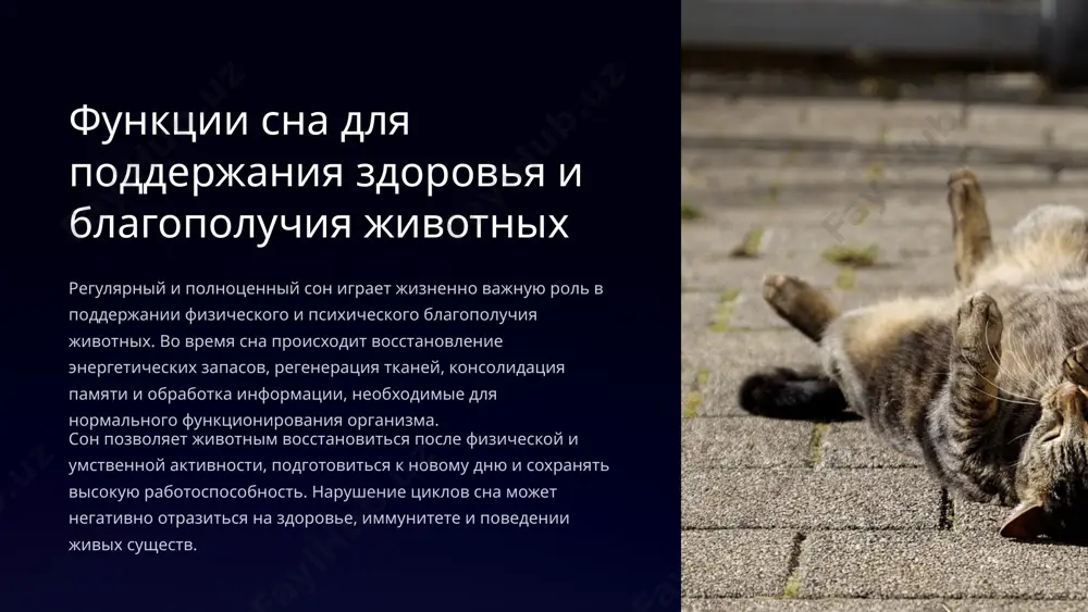 сна, у животных наблюдаются и другие формы изменённого состояния сознания, такие как гипноз. гипноз - это особое состояние повышенной внушаемости и концентрации, вызванное специальными приёмами. в таком состоянии животные становятся более восприимчивы к командам и воздействиям со стороны окружающей среды. гипноз может возникать у животных как естественная реакция на стрессовые или опасные ситуации. 7 примеры гипноза у животных гипноз у опоссумов oпоссумы впадают в состояние оцепенения, когда чувствуют угрозу. это своеобразный гипнотический транс, который заставляет их притвориться мёртвыми, чтобы отпугнуть хищников. гипноз у кур куры могут быть введены в гипнотическое состояние путем фиксации взгляда и плавных движений. это состояние используется для облегчения ухода и обработки птиц. гипноз у змей змеехозы в индии демонстрируют, как они могут гипнотизировать кобр с помощью медленных покачиваний труб. змеи впадают в оцепенение, прекращая агрессивное поведение. 8 причины гипноза у животных реакция на стресс и опасность: гипноз может быть естественной защитной реакцией животных, помогающей им избежать …