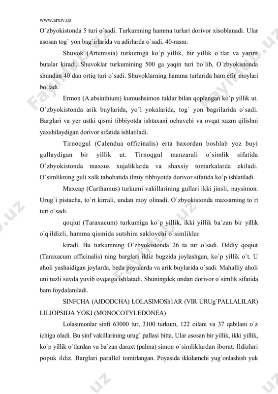 lani o`z ichiga oladi. bu sinf vakillarining urug` pallasi bitta. ular asosan bir yillik, ikki yillik, ko`p yillik o`tlardan va ba`zan daraxt (palma) simon o`simliklardan iborat. ildizlari popuk ildiz. barglari parallel tomirlangan. poyasida ikkilamchi yug`onlashish yuk chunki bo`larda kambiy rivojlanmaydi. gul to`zilishi ham o`ziga xos oddiy. gulqurg`on bo`laklari uchtadan bo`lib joylashadi. xashoratlar va shamol vositasida changlanadi. lolasimonlar to`rtta sinfchaga bo`linadi: bulduruk utkabilar, triurudkabilar, lolakabilar, palmakabilar sinfcha (ajdodcha) buldurukutkabilar alismatidae. mazkur sinfcha 2 ta qabila, 18 ta oila va 56 ta turkumga mansub 500 ta to`rni birlashtiradi. ularning aksariyat qismi suv va sernam muxit bilan boglangan. bulduruknamolar (alismatales) qabilasi bu qabilaga 2 ta oila kiradi. buldurukdoshlar (alismataceae) oilasi bu oilaga 13 turkumga mansub, 100 ga yaqin tur kiradi. ular suv xavzalarida, botqoqliklarda o`sadigan ko`p yillik ut. barglari ildiz bugzida joylashgan. gulqurg`oni oddiy gultojisimon yoki murakkab, uchta gulkosacha barg va 3 ta gultojbargdan tashqil topgan. changchilari odatda 6 tadan. mevasi bir urug`li. …